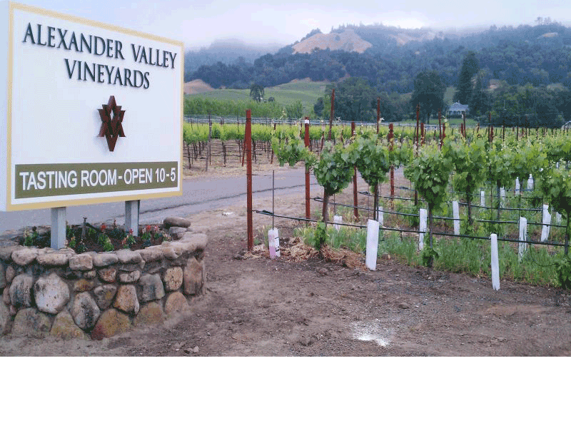 Alexander Valley Vineyards Certified Winery Photo 