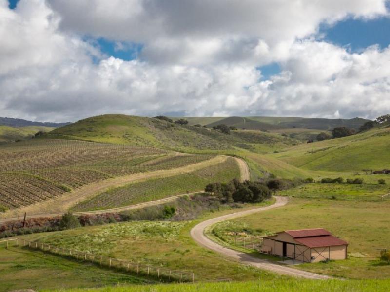 Ampelos Cellars Winery Photo