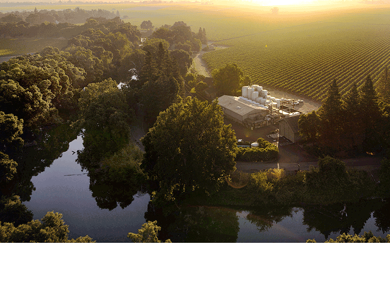 Bogle Certified Winery Photo 