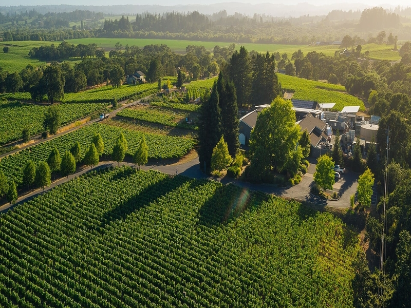 DeLoach Vineyards Photo