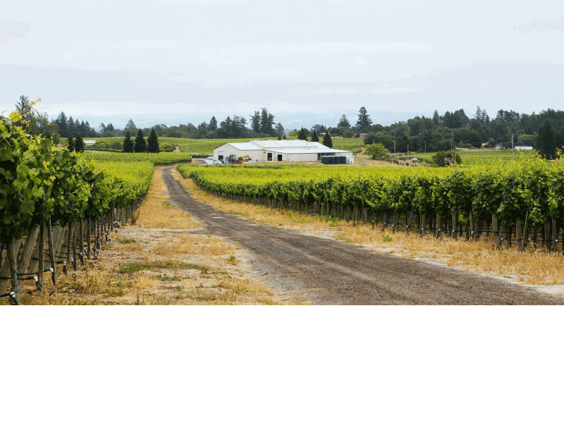 Emeritus Certified Winery 