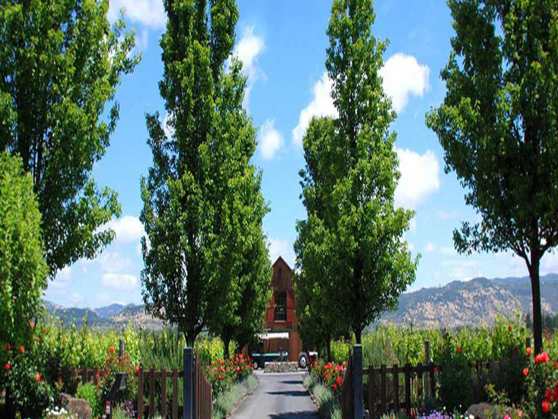 Foley Johnson Estate