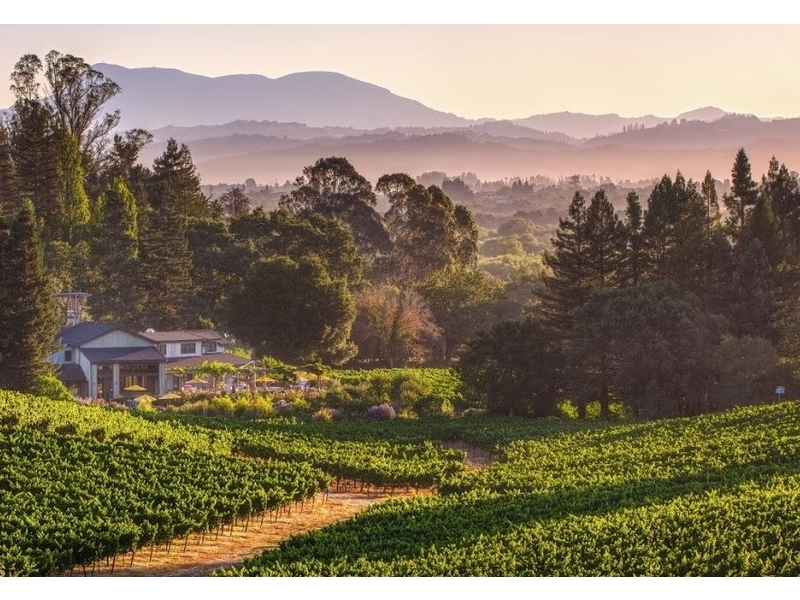 Lynmar Estate Winery Photo