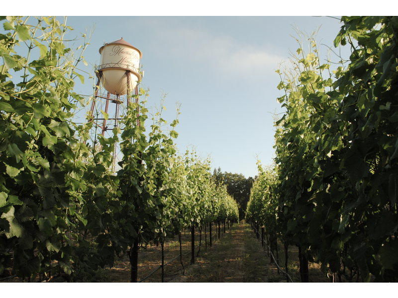 Martin Ray Winery Water Tower