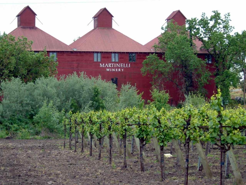 Martinelli Winery Photo
