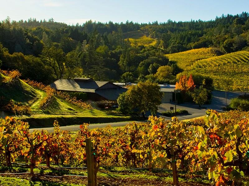 Pedroncelli Winery Photo