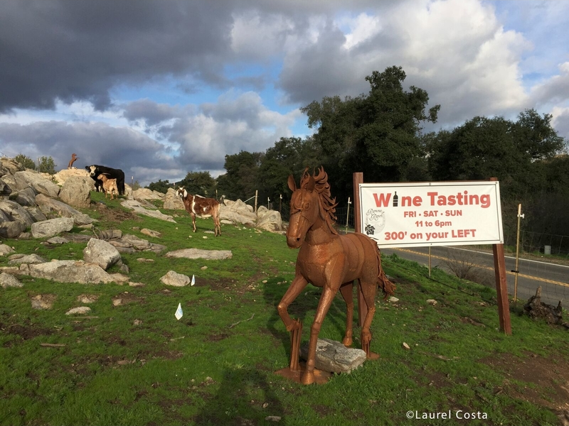 Ramona Ranch Winery Photo