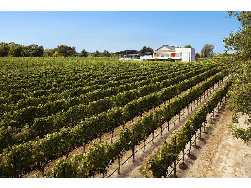 Ron Rubin Winery