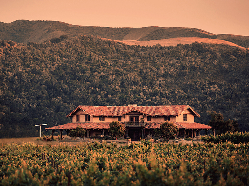 Sanford Winery Photo