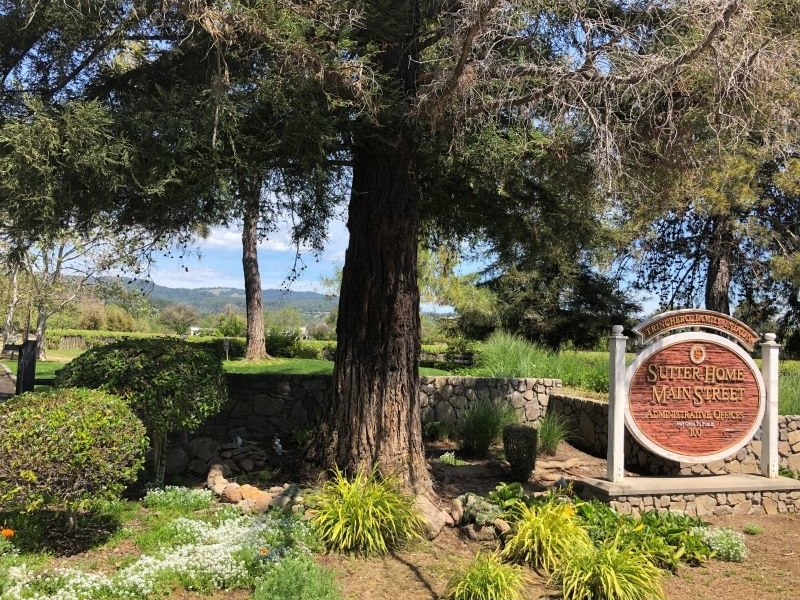 Main Street Winery - Trinchero Family Estates