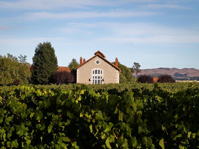 Etude Winery