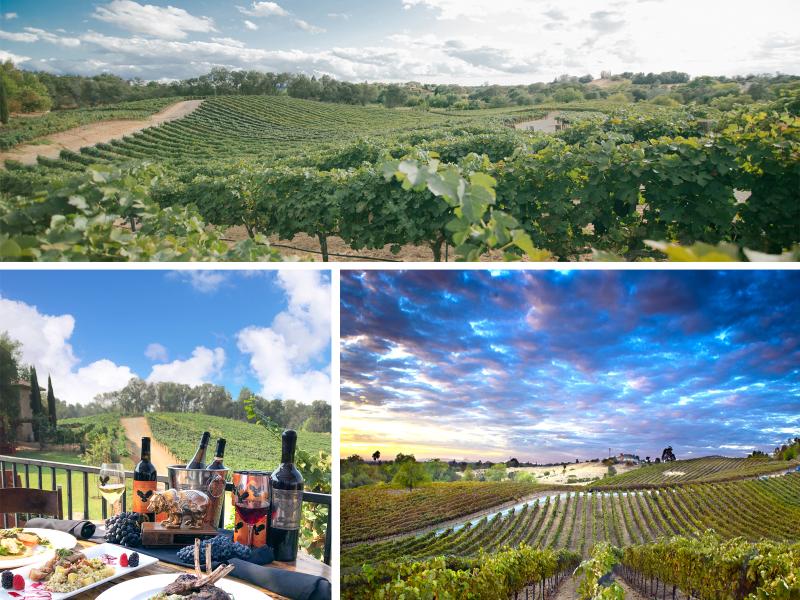 Wise Villa Winery photo