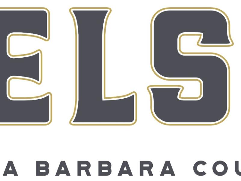 Nielson Brand Logo