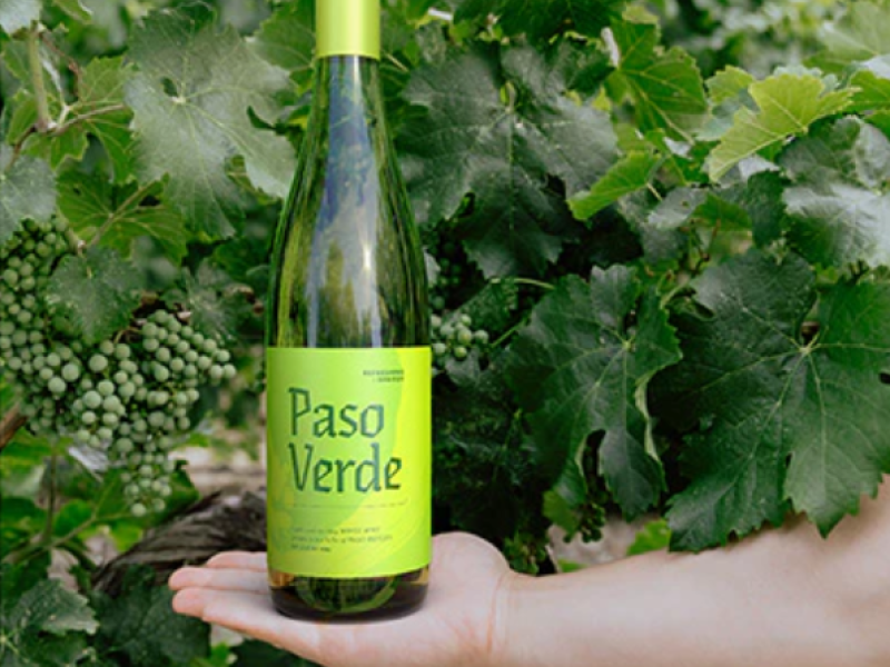 Paso Verde Bottle with grapevines