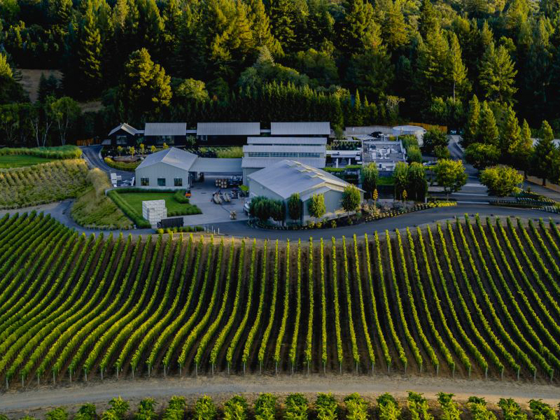 Paul Hobbs Winery