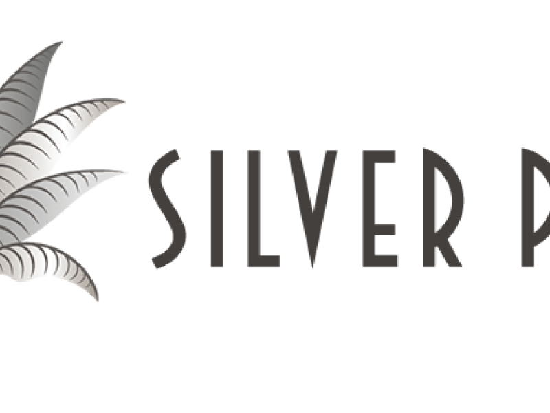 silver palm