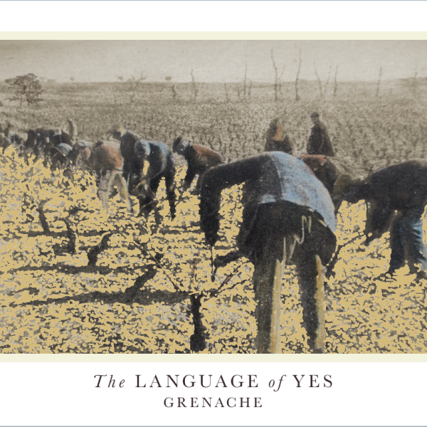 The Language of Yes Grenache En Passerillage 2022