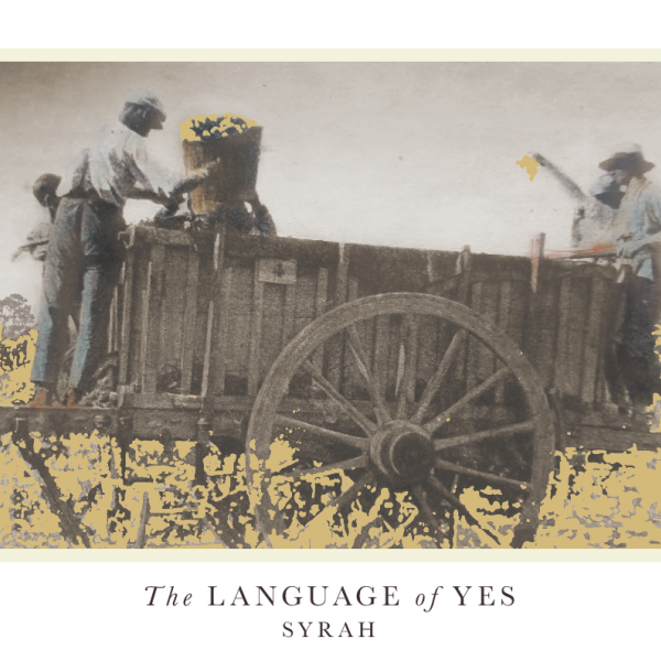 The Language of Yes Syrah En Passerillage 2022