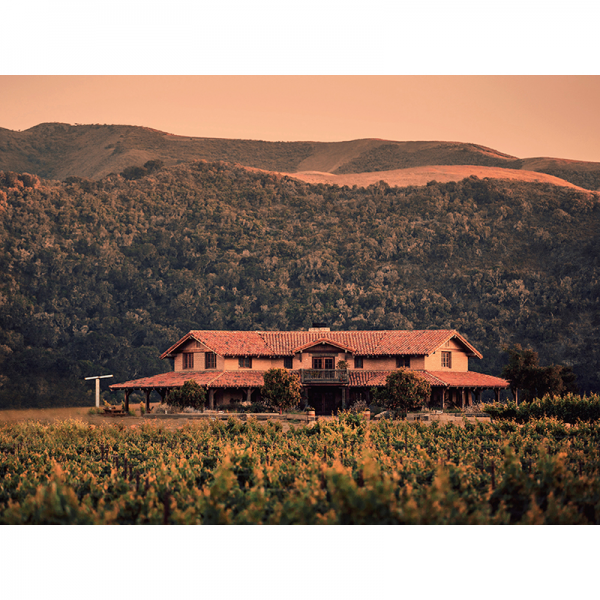 Sanford Winery Photo