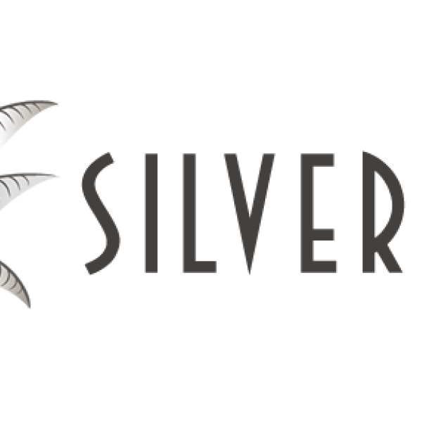 silver palm