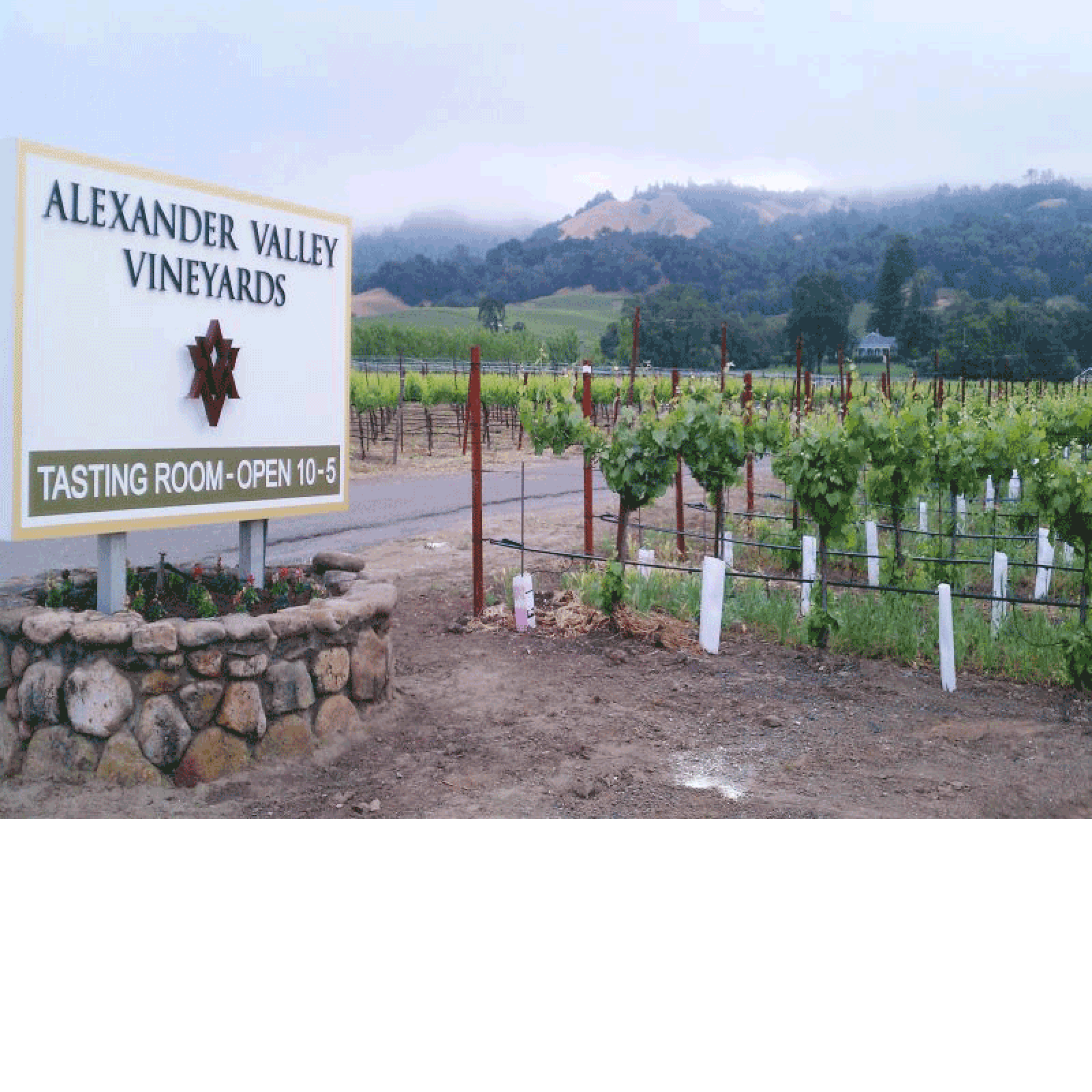 Alexander Valley Vineyards Certified Winery Photo 