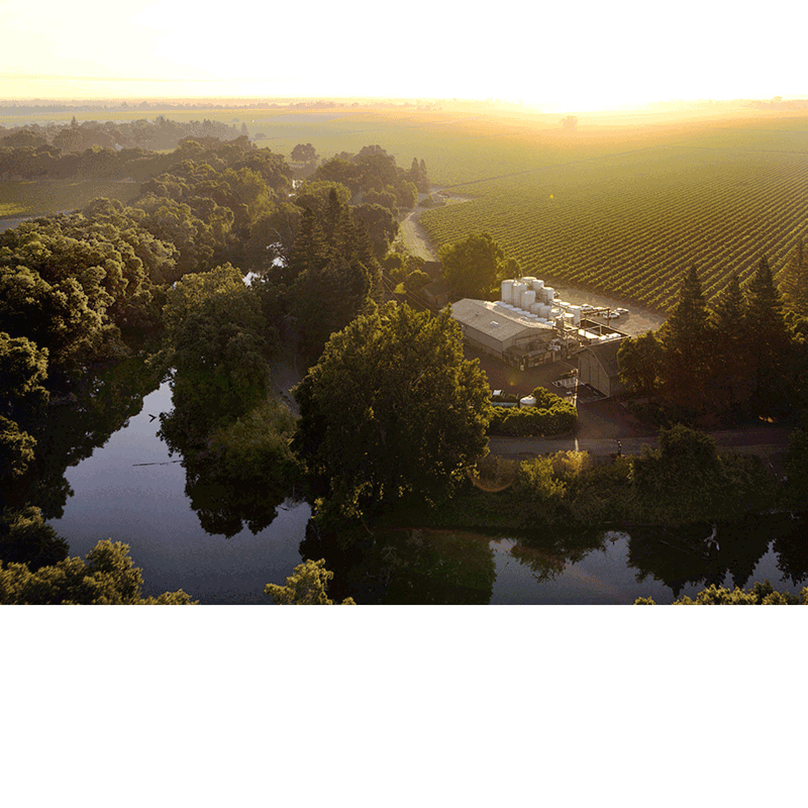 Bogle Certified Winery Photo 