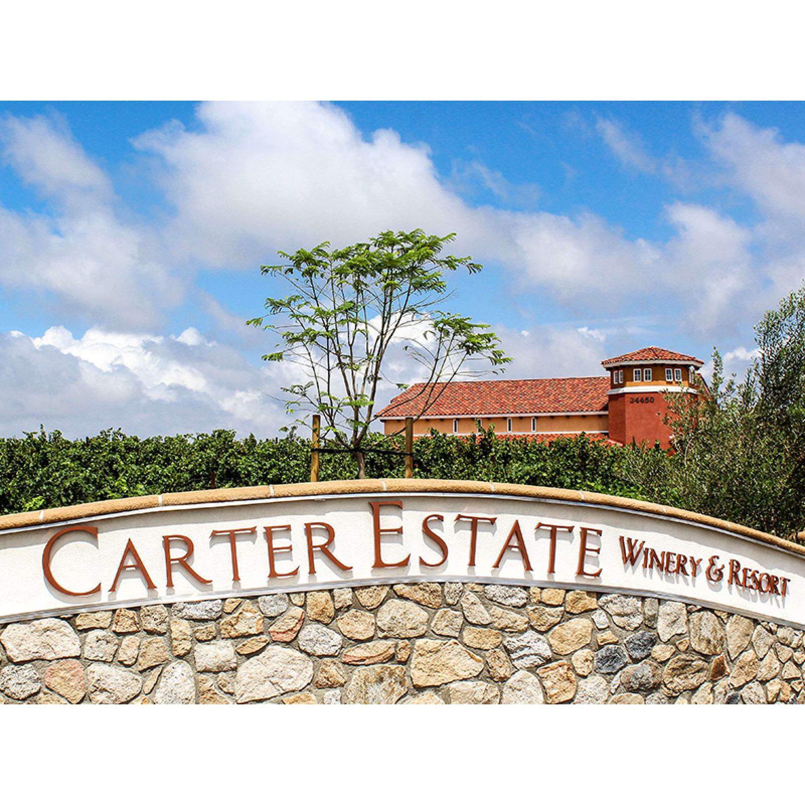 Carter Estate Winery Photo