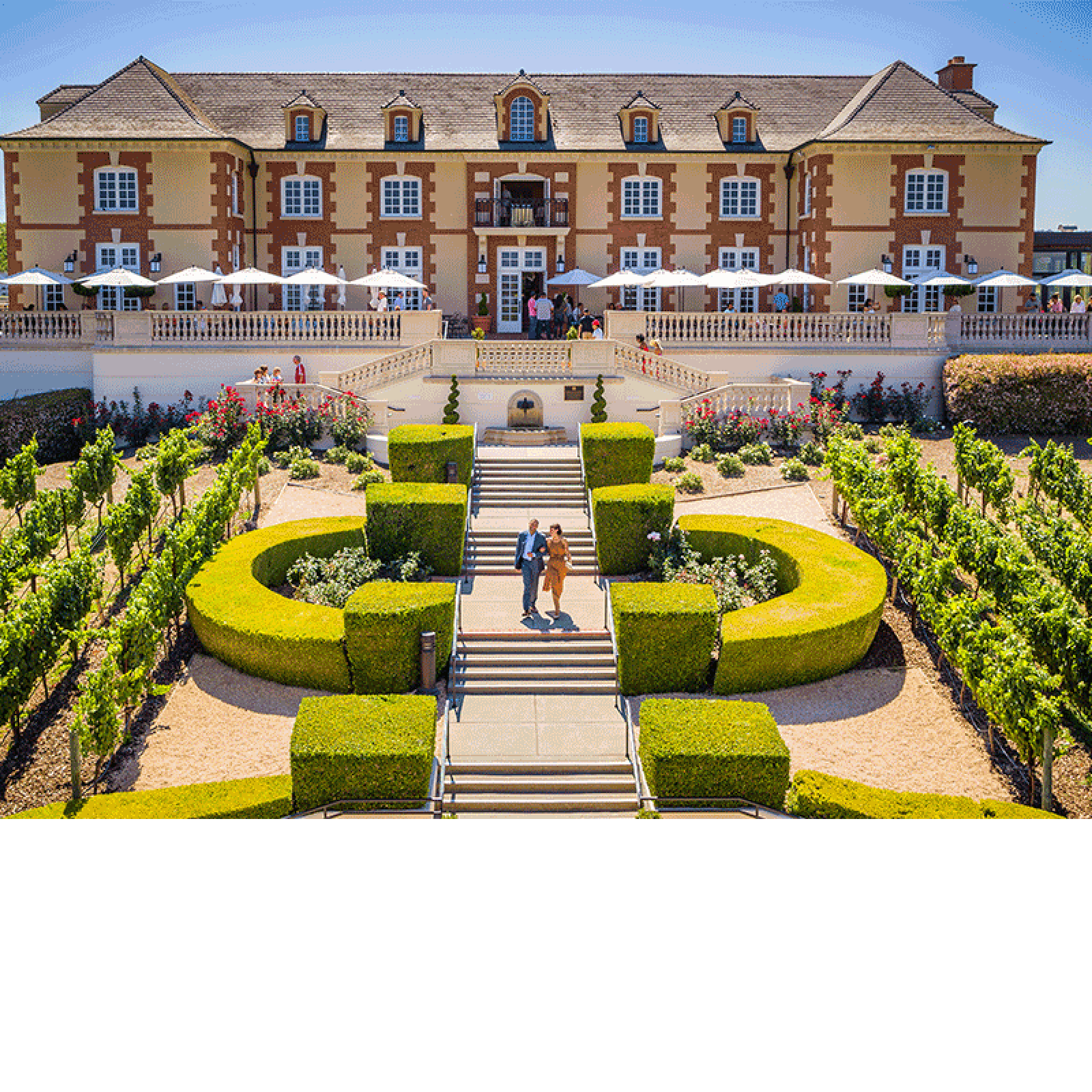Domaine Carneros Certified Winery