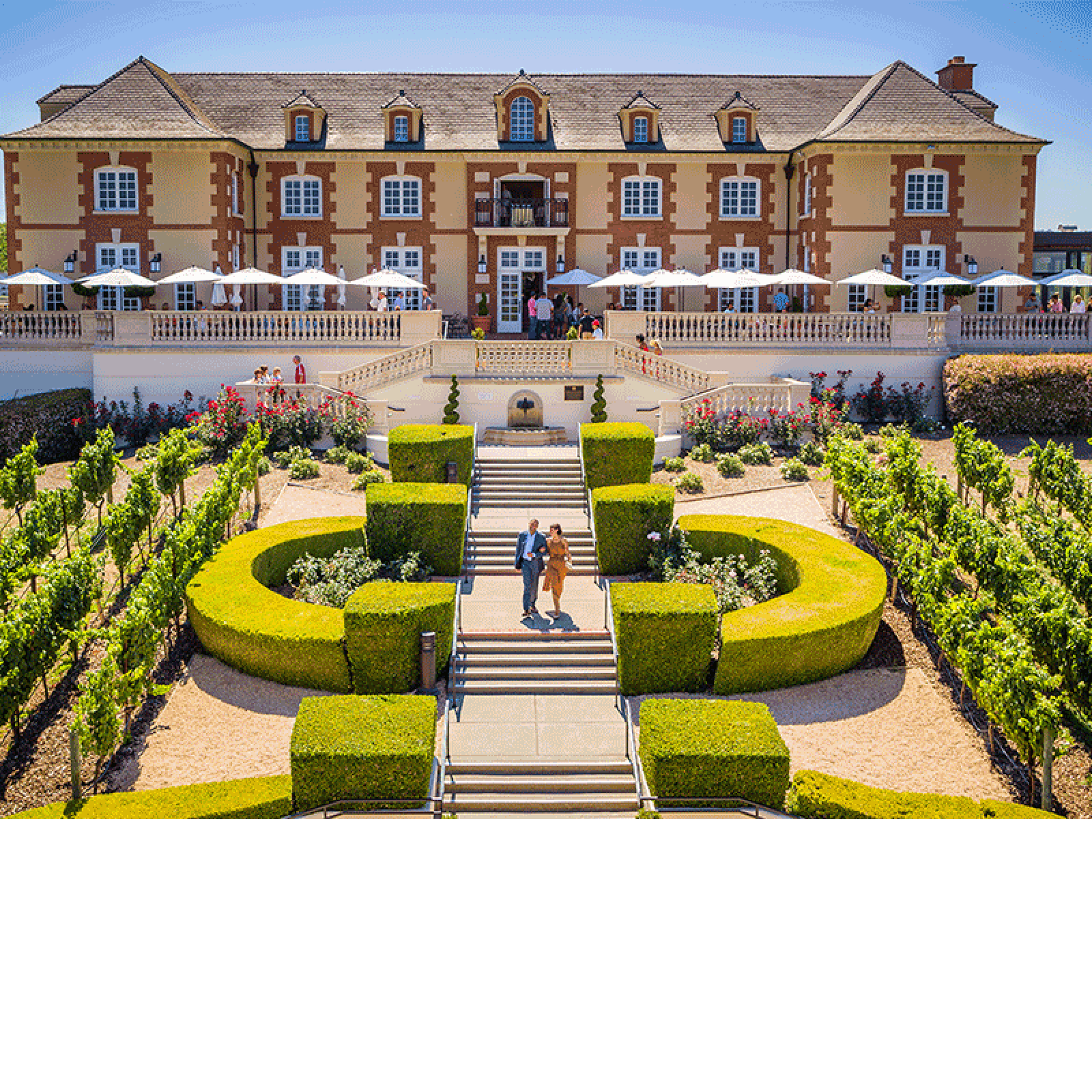Domaine Carneros Winery Certified California Sustainable