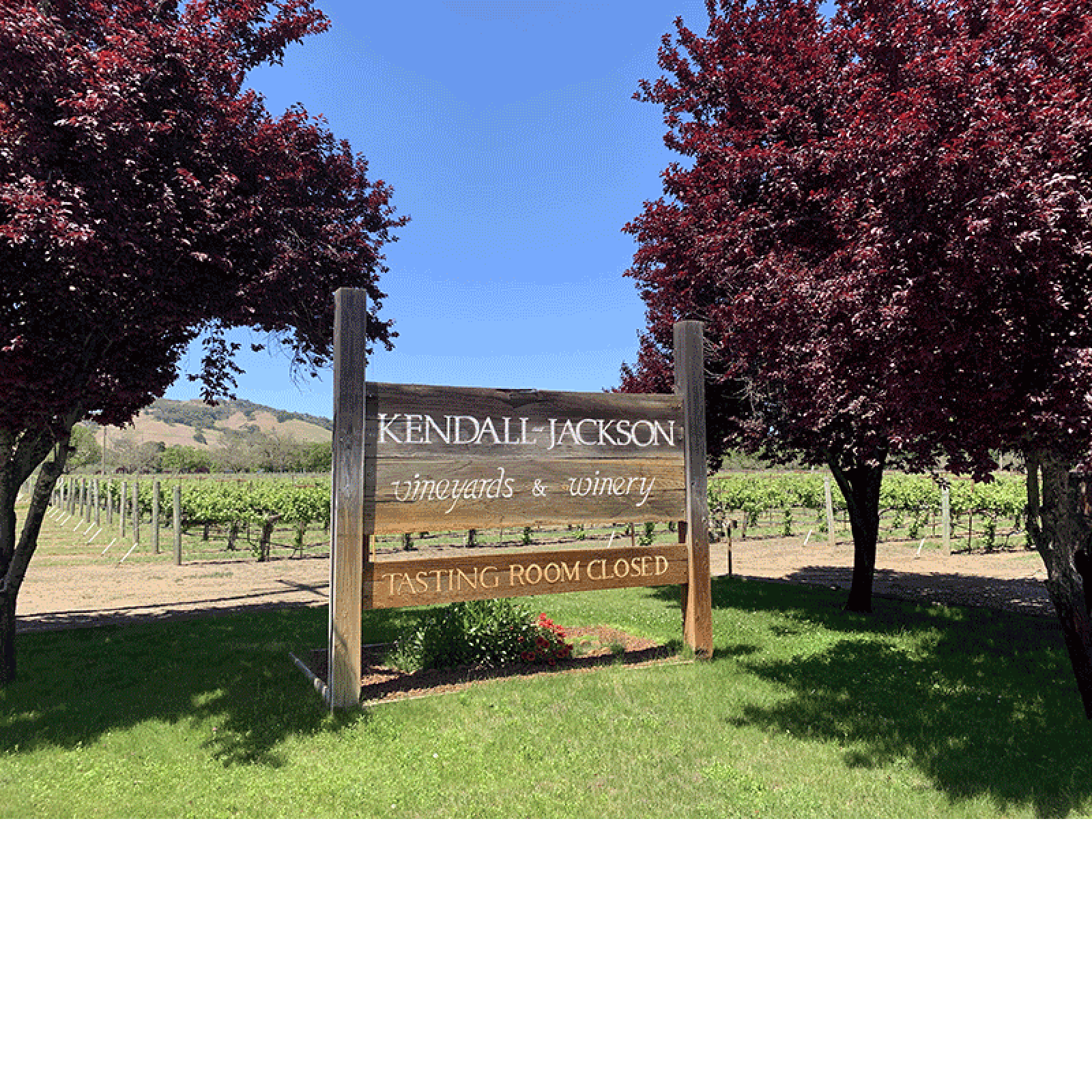 JFW Lakeport Certified Winery 