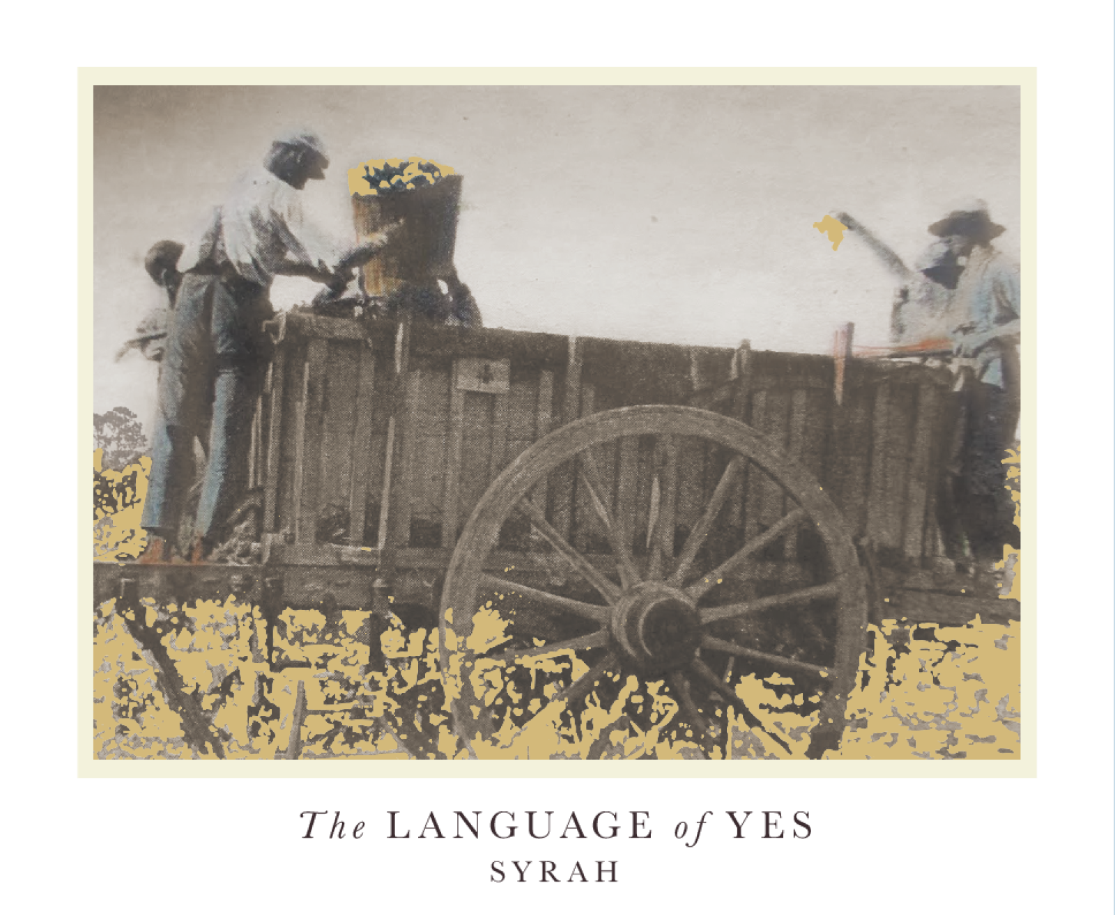 The Language of Yes Syrah En Passerillage 2022