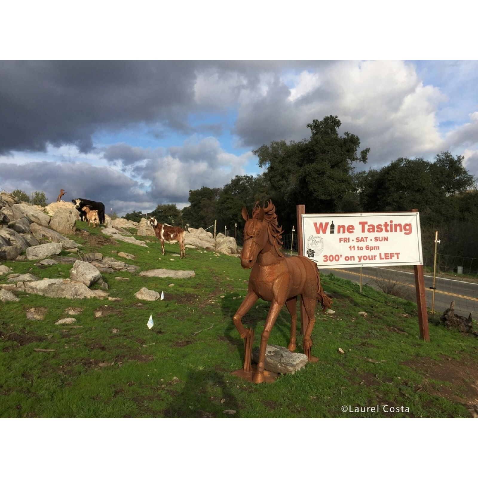 Ramona Ranch Winery Photo