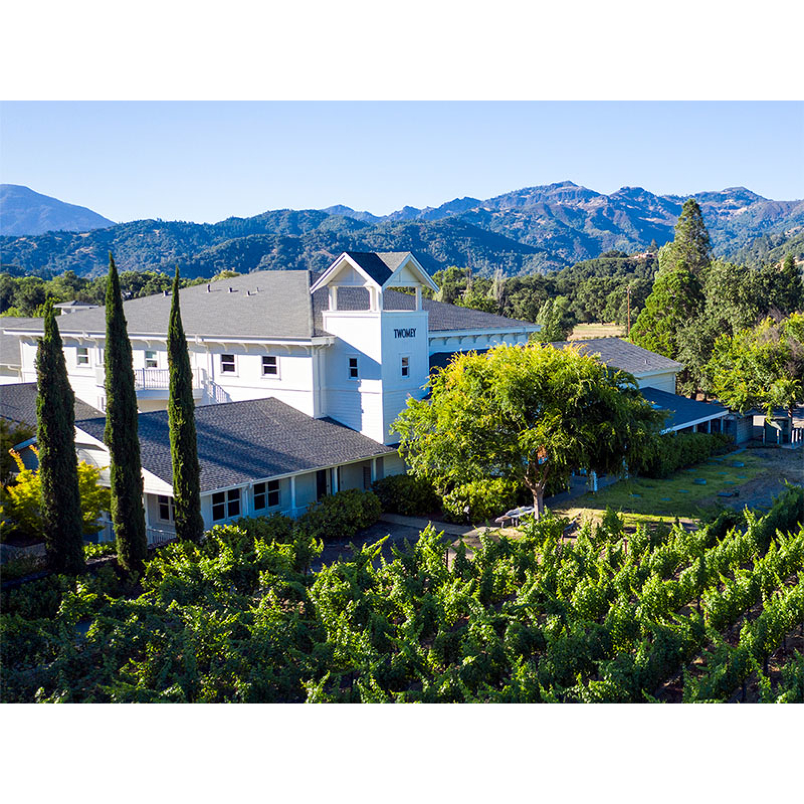Twomey Cellars - Calistoga Winery photo